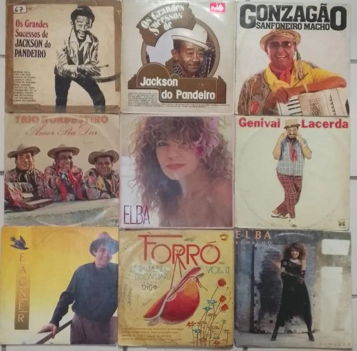 9 LPs Forró e Regional