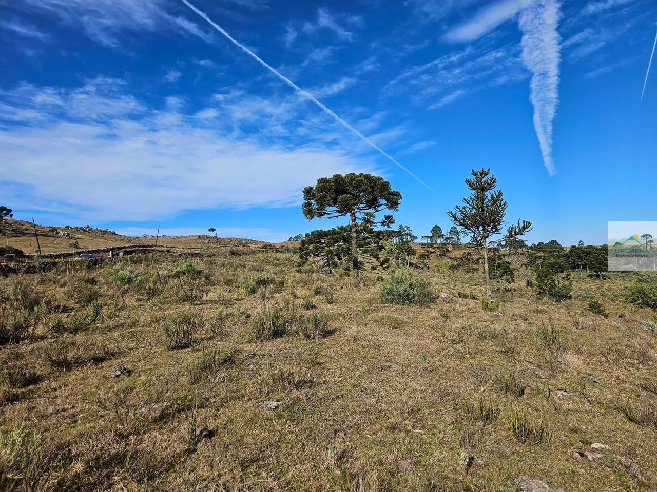 Área Rural em Cedro, Urupema/SC - Foto 5