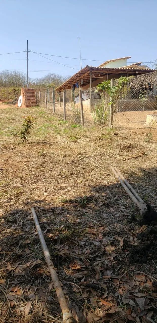 Terreno rural em mateus leme  - Foto 3