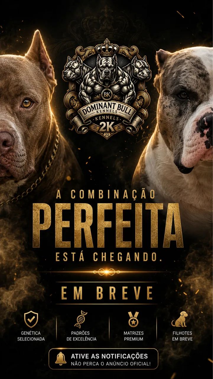 FILHOTES DE PITMONSTER 