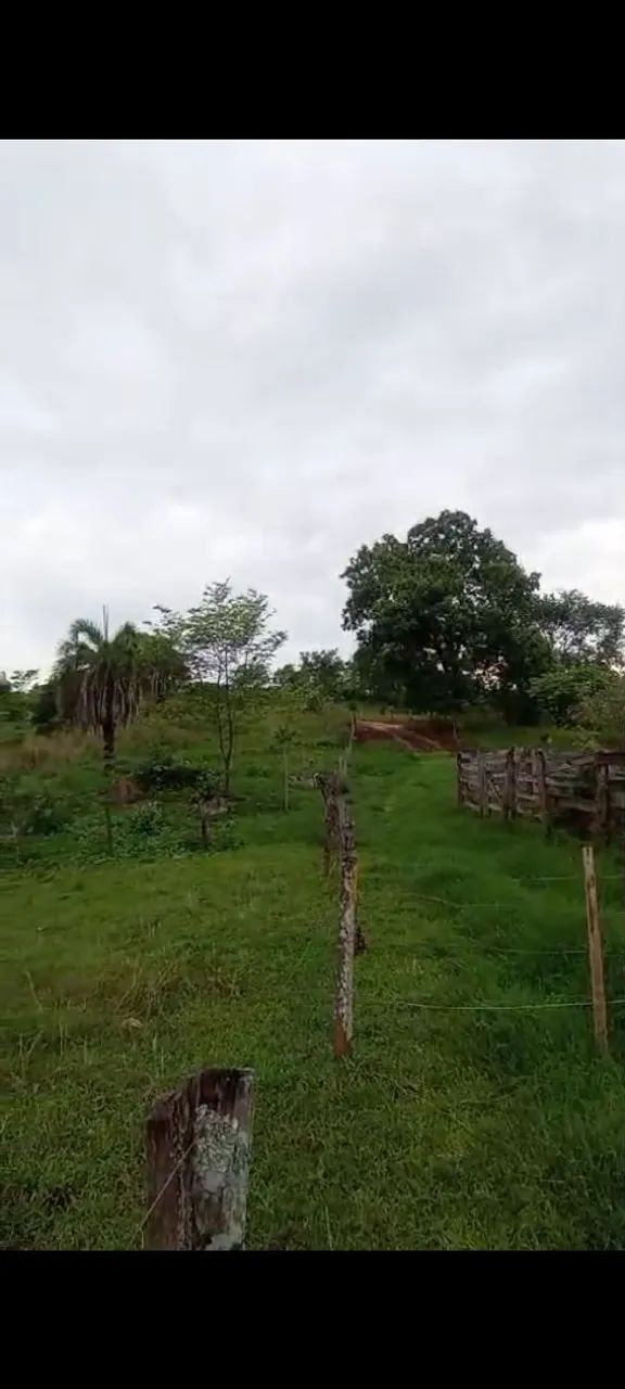 Vendo chácara urgente - Foto 4