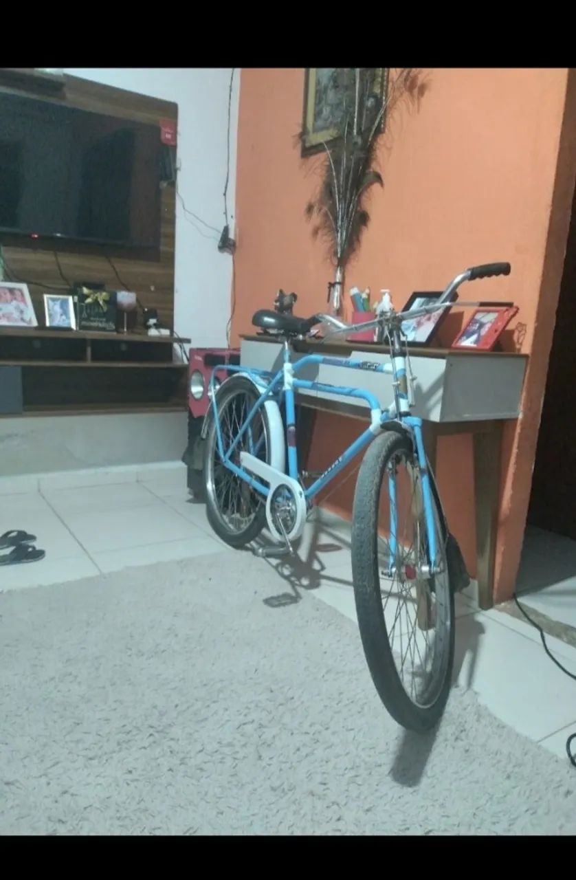 Bicicleta garique
