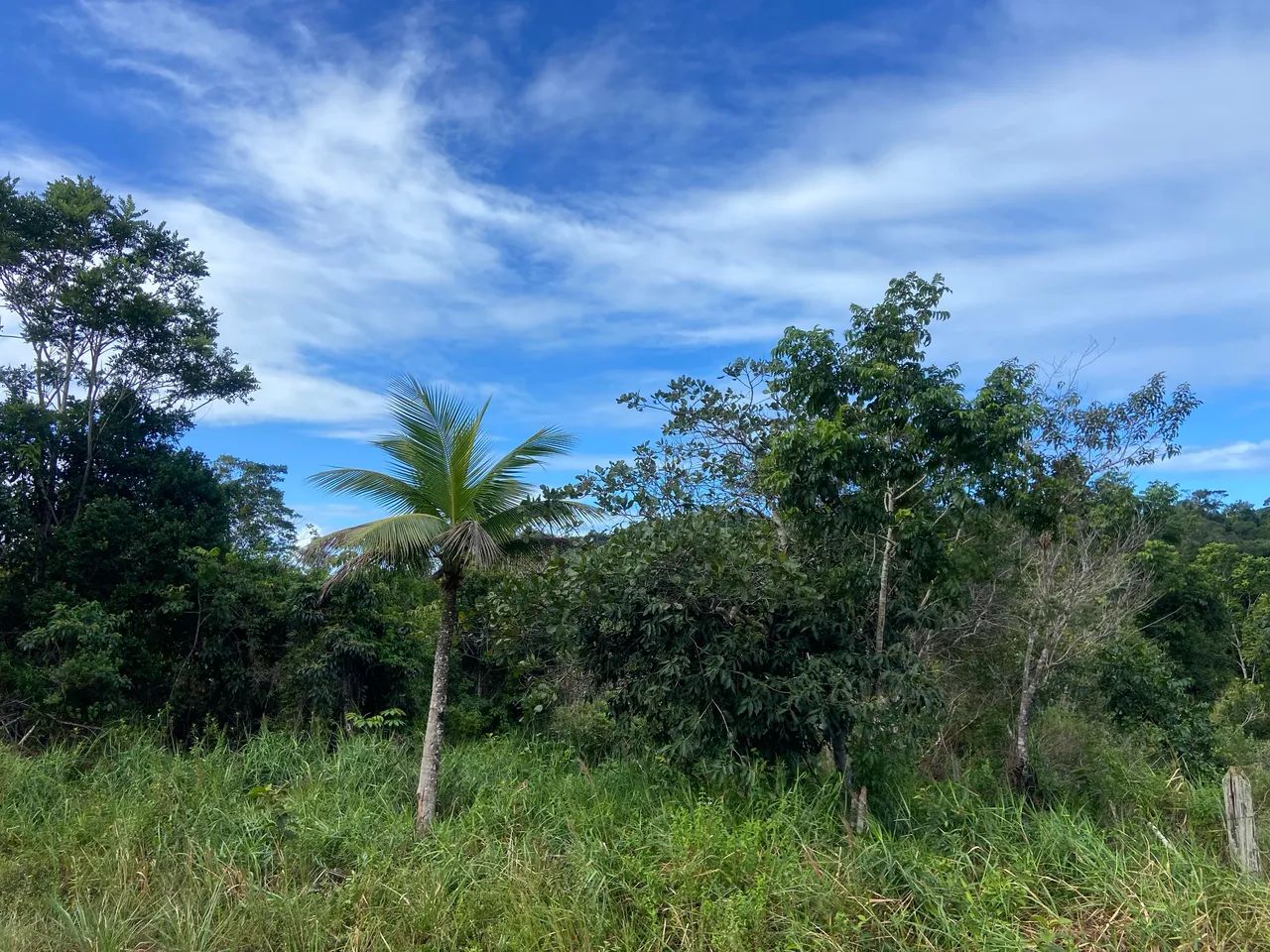 Terrenos 8x20 Itacaré (Próximo das praias) - Foto 5