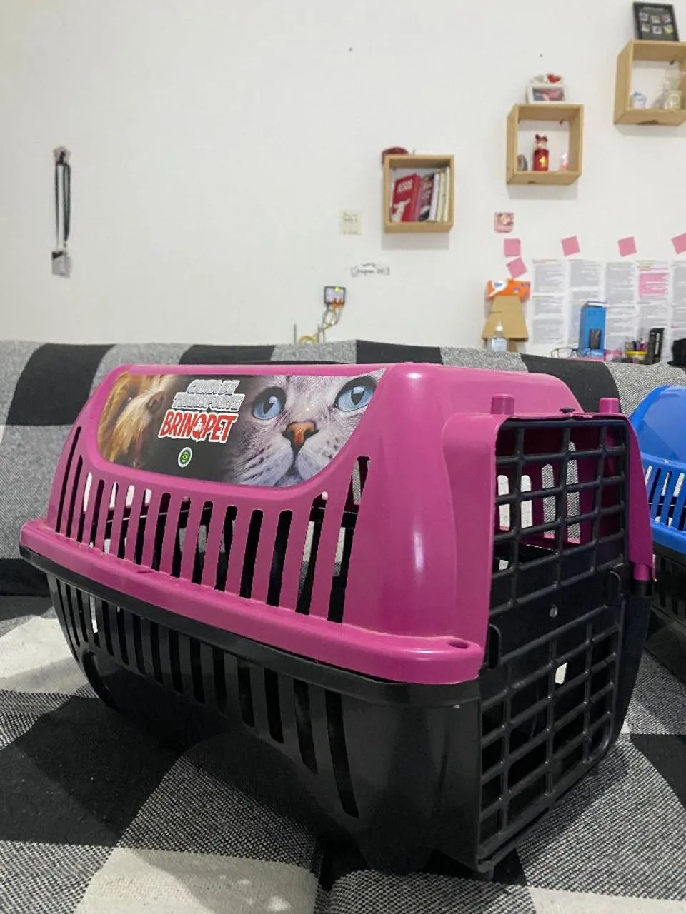 Caixa de transporte Pet - Foto 3