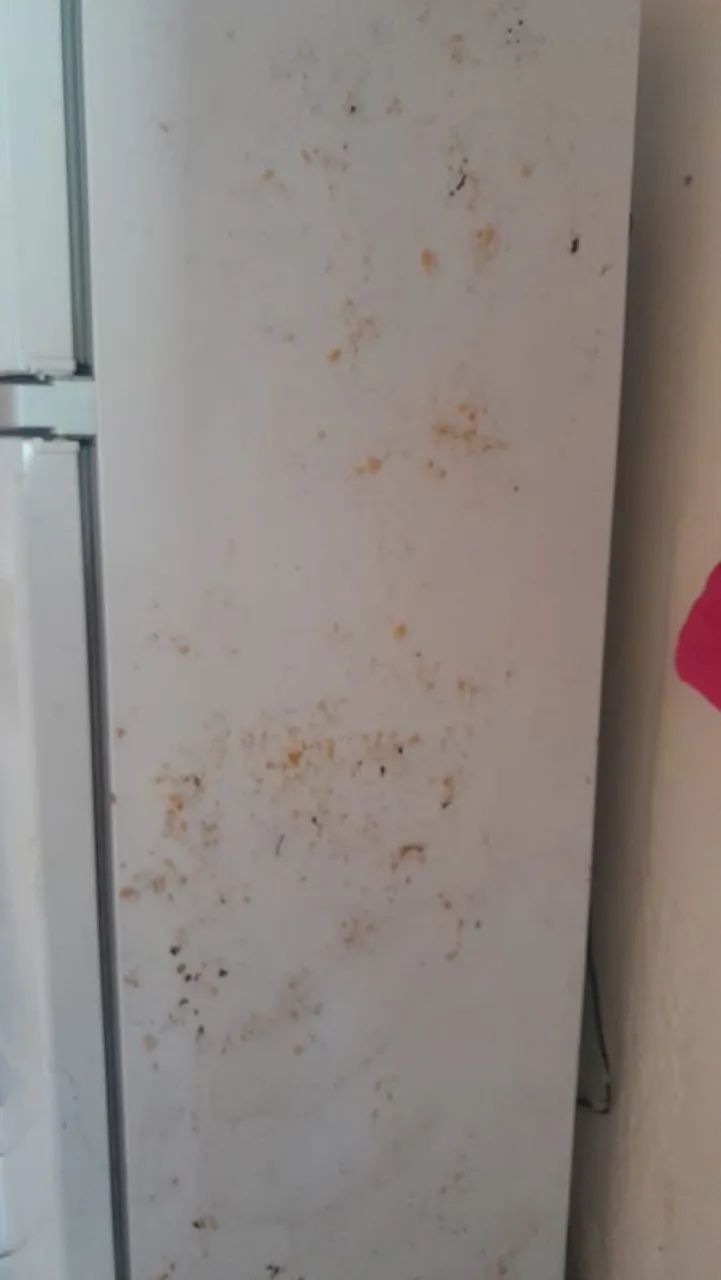 Geladeira Brastemp  - Foto 5