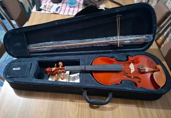 Violino 4x4 Giannini - Foto 3