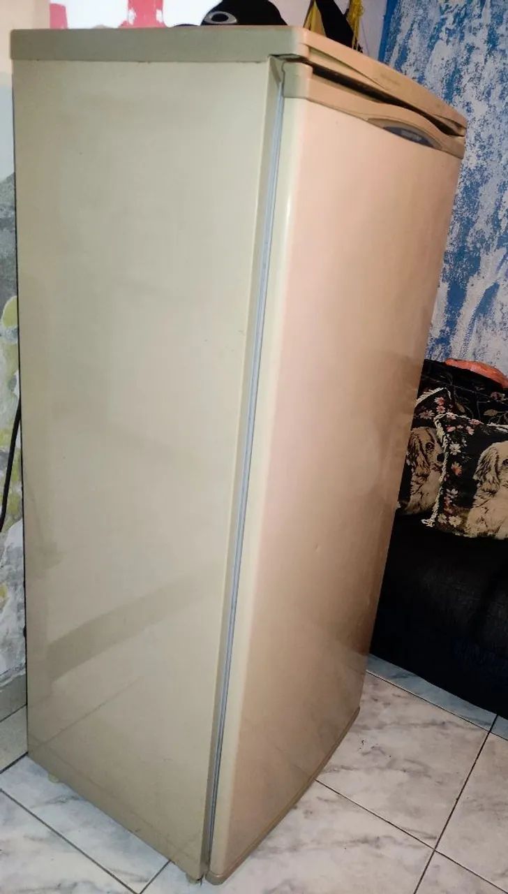 Refrigerador Brastemp 310 , 220v , Funcionando Perfeitamente  - Foto 5