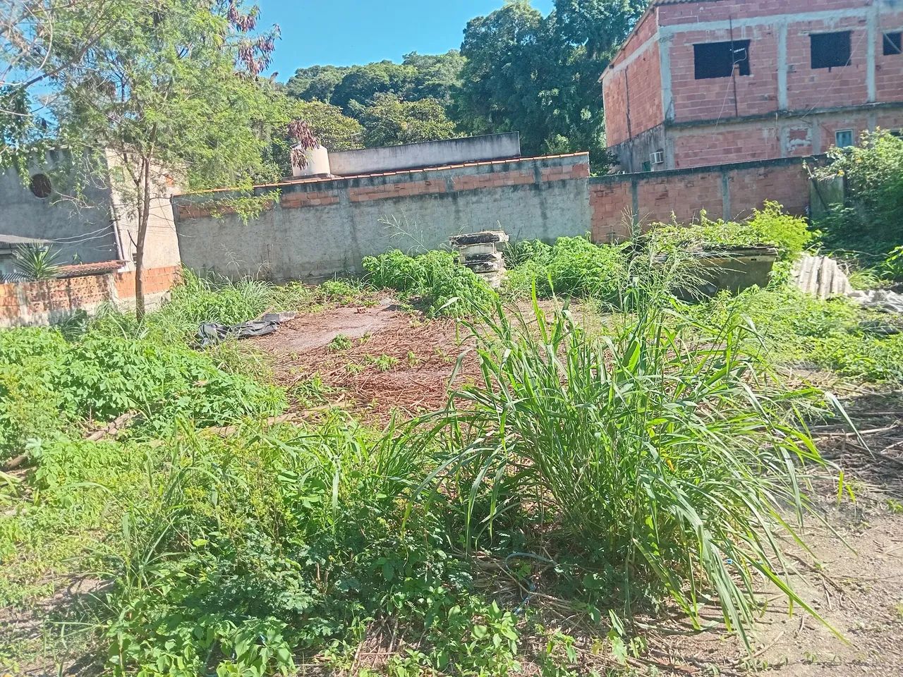 Terreno em sepetiba - Foto 2