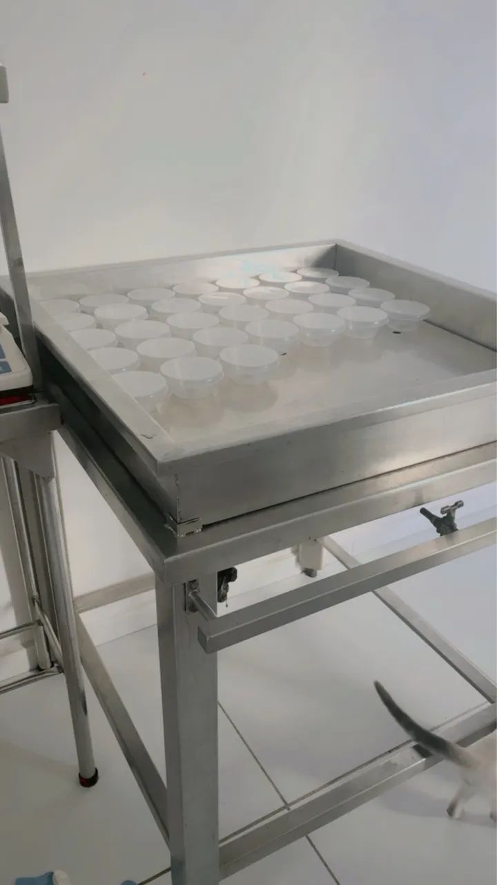 Fábrica de pudim gourmet pra vender hoje! - Foto 5