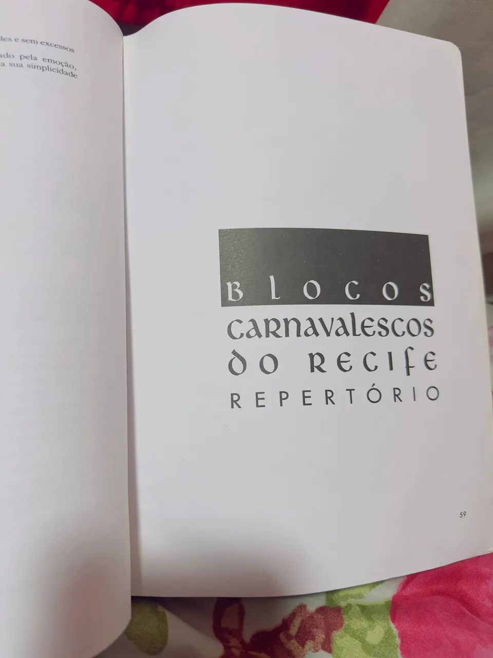 Blocos Carnavalescos do Recife  - Foto 4