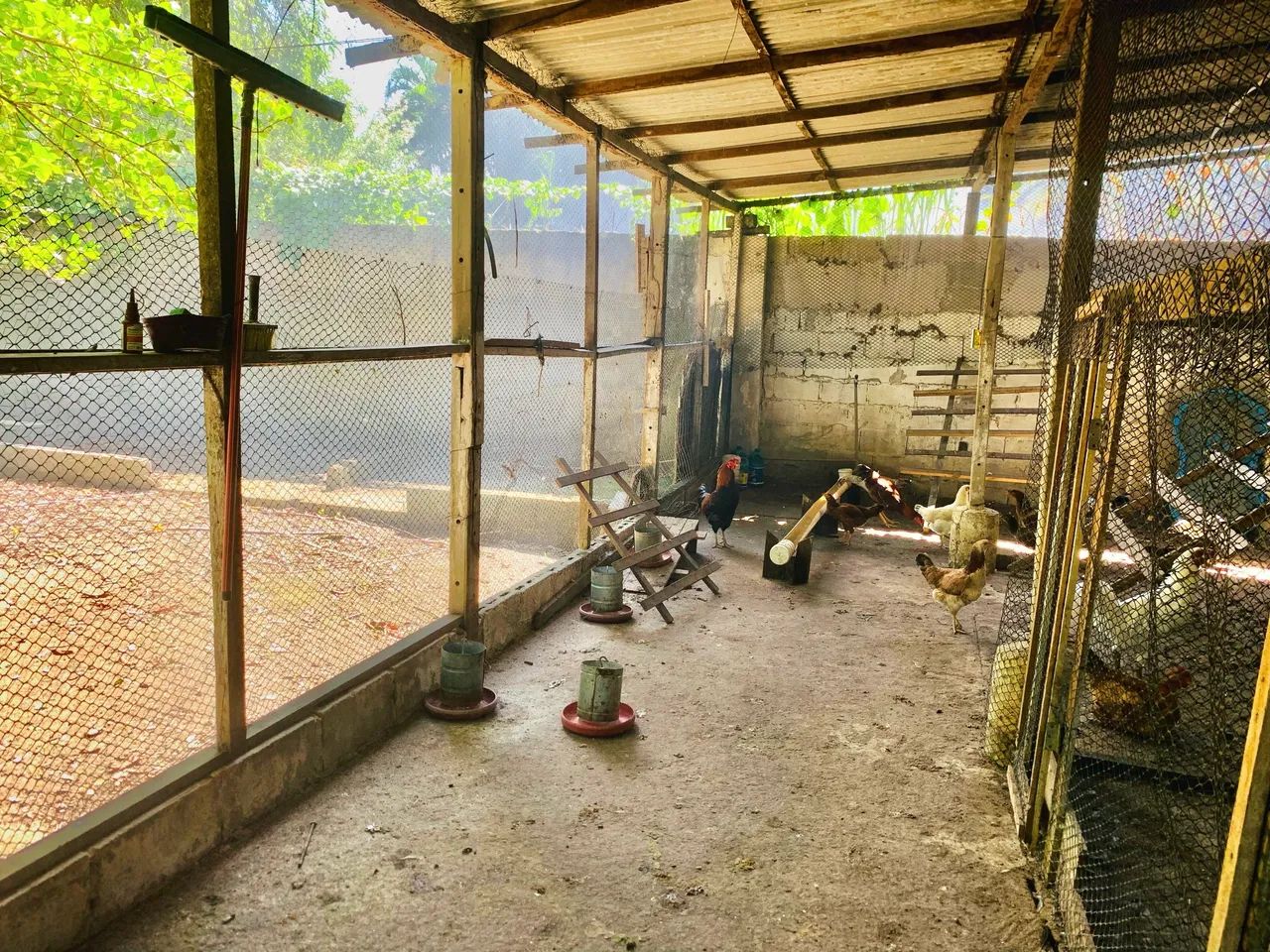 Sítio 5.000 m2 com RGI  - Foto 3