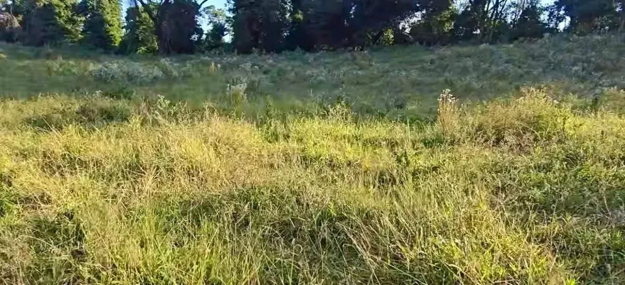 Riacho serras verdes - Foto 2