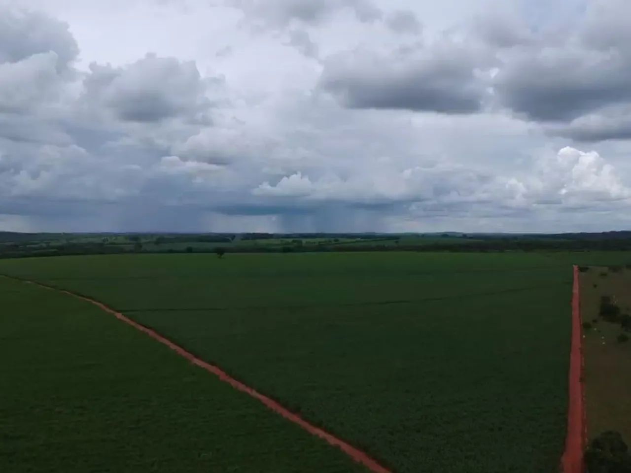 Fazenda com plantação amendoim  - Foto 4