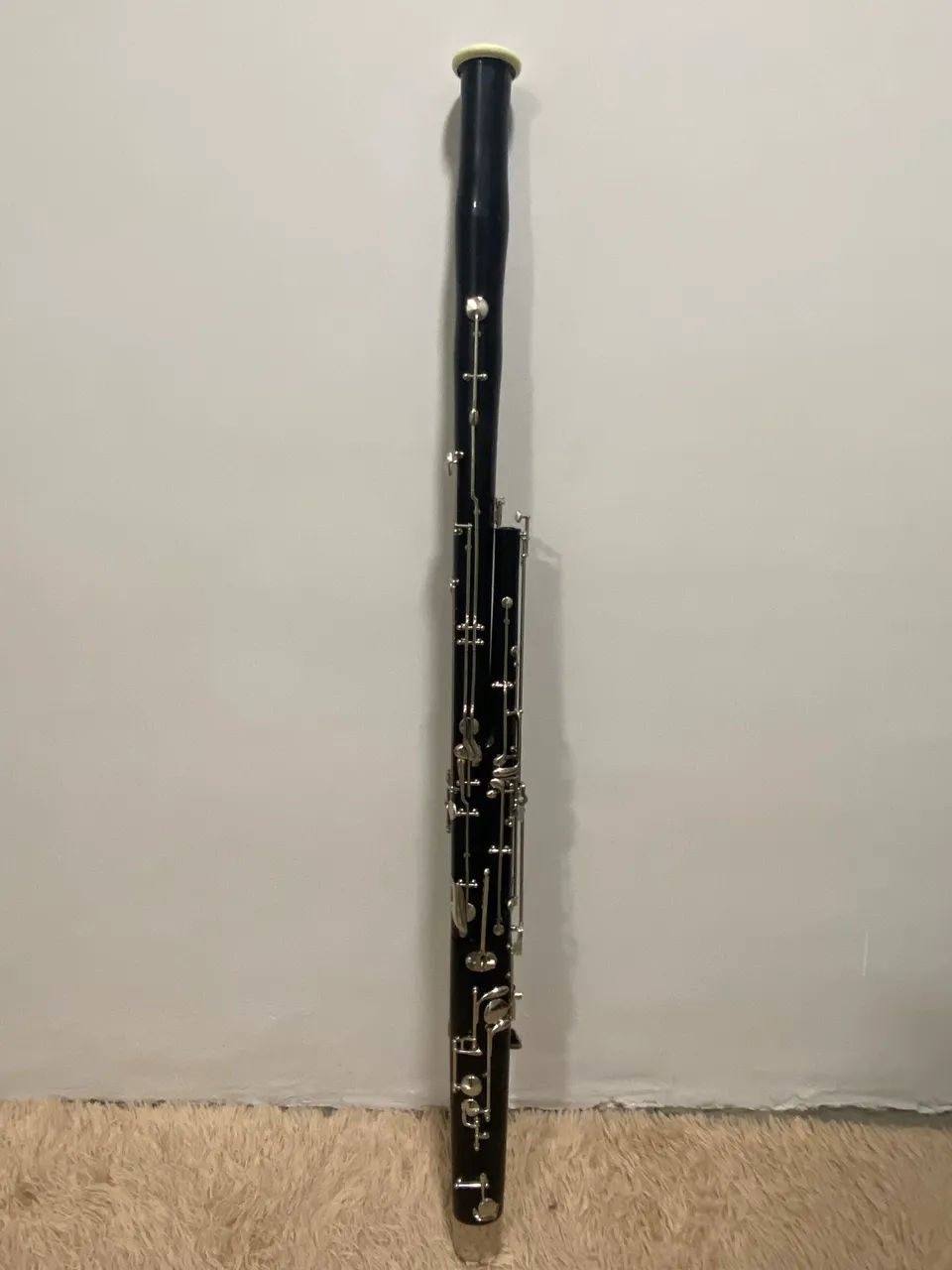 Fagote Fox 31 