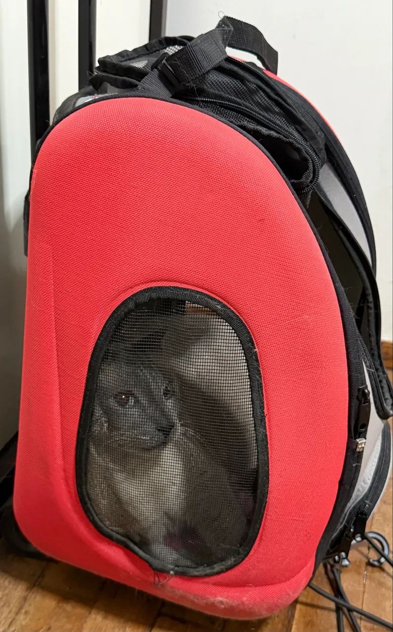 Carrinho de transporte para pets