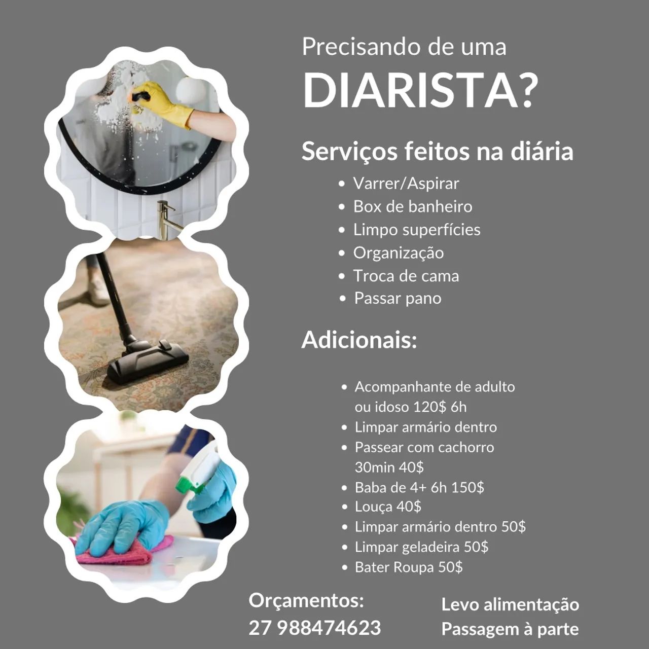 diarista 