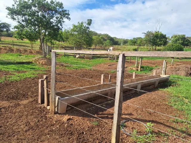 FAZENDA À VENDA - OPORTUNIDADE RARA - Foto 3