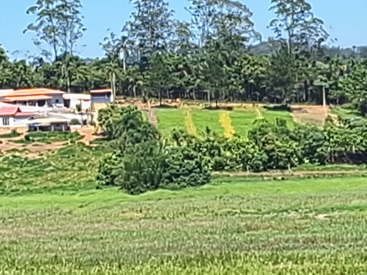 Terreno fundo para represa - Foto 4