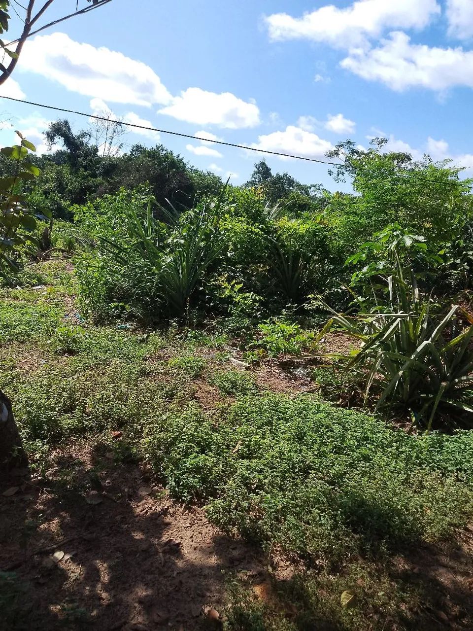 Vendo lote na comunidade do Chapadão 