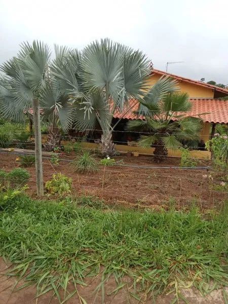 SITIO COM 5.000M2 LAGOA FUNDO