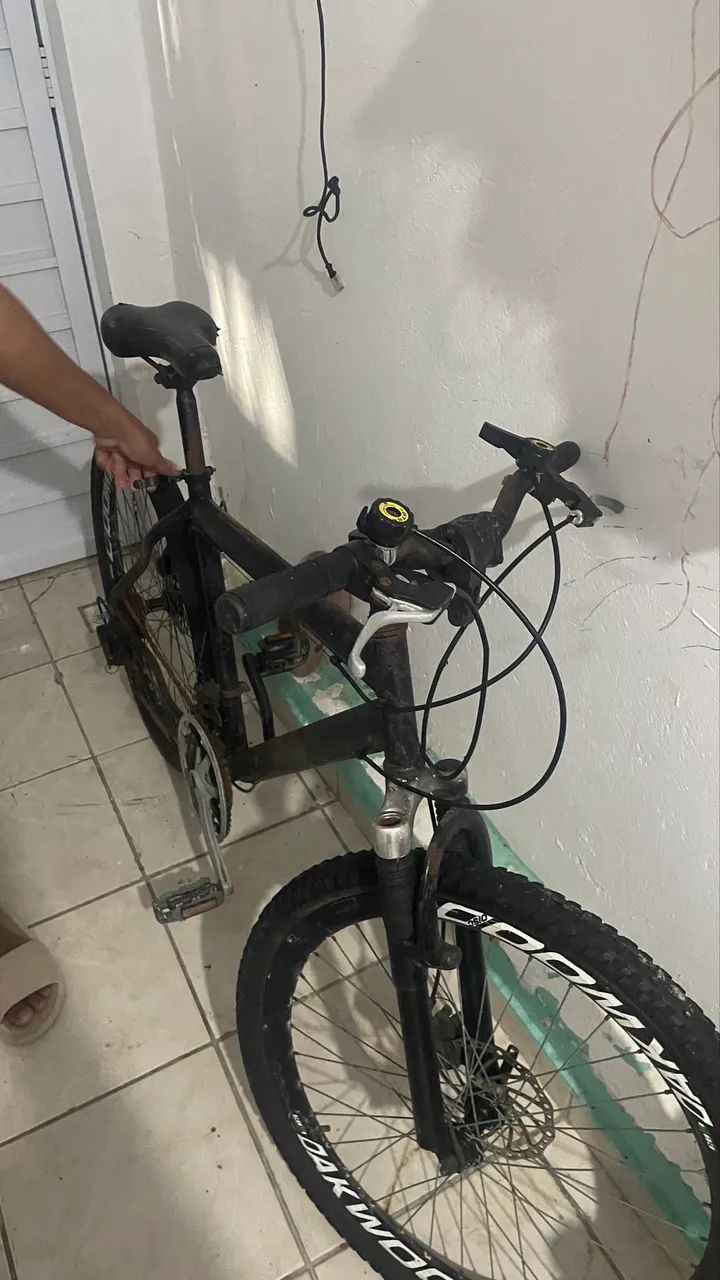 Bicicleta  - Foto 2