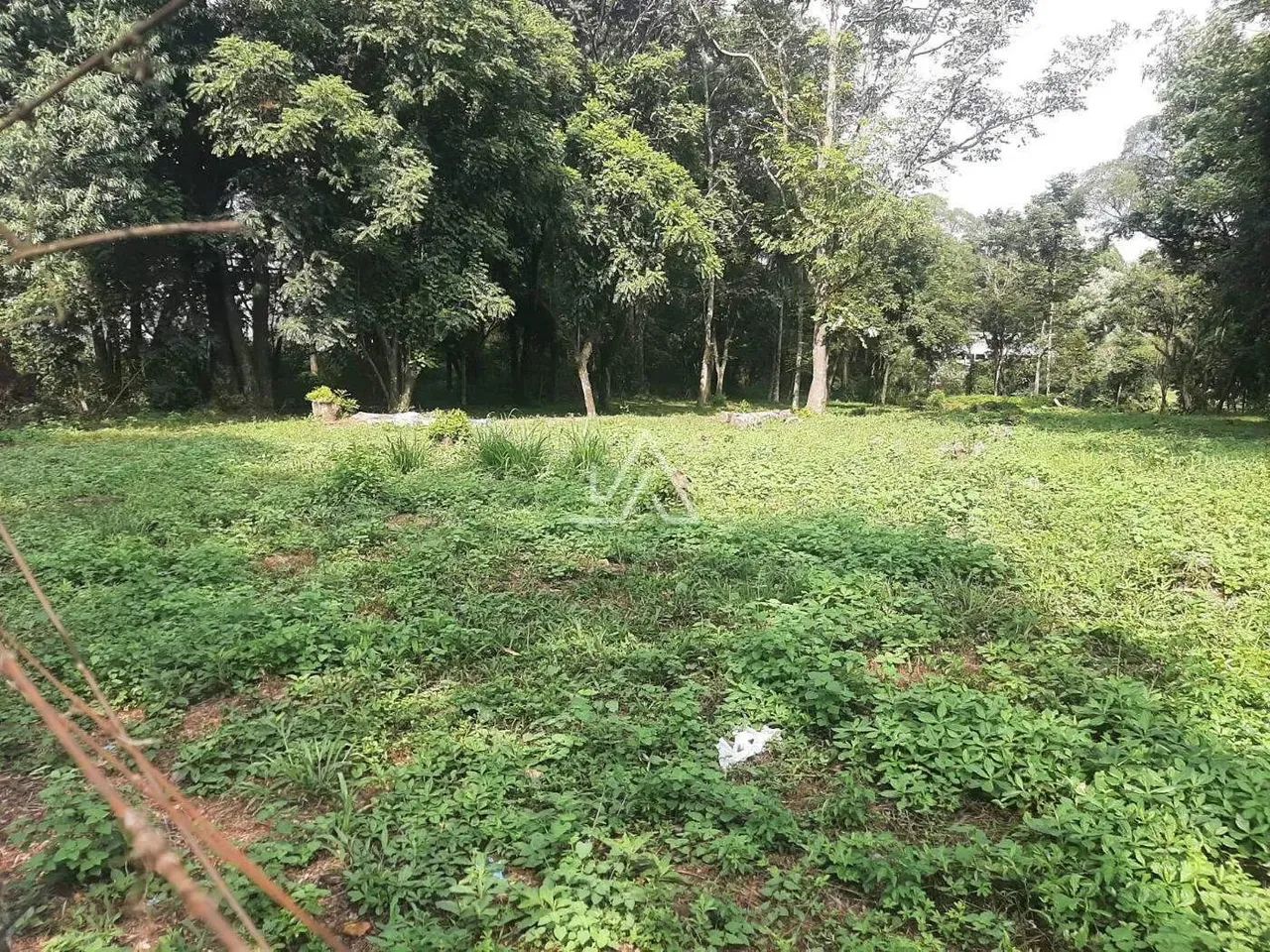 TERRENO NO BOQUEIRÃO - Foto 5