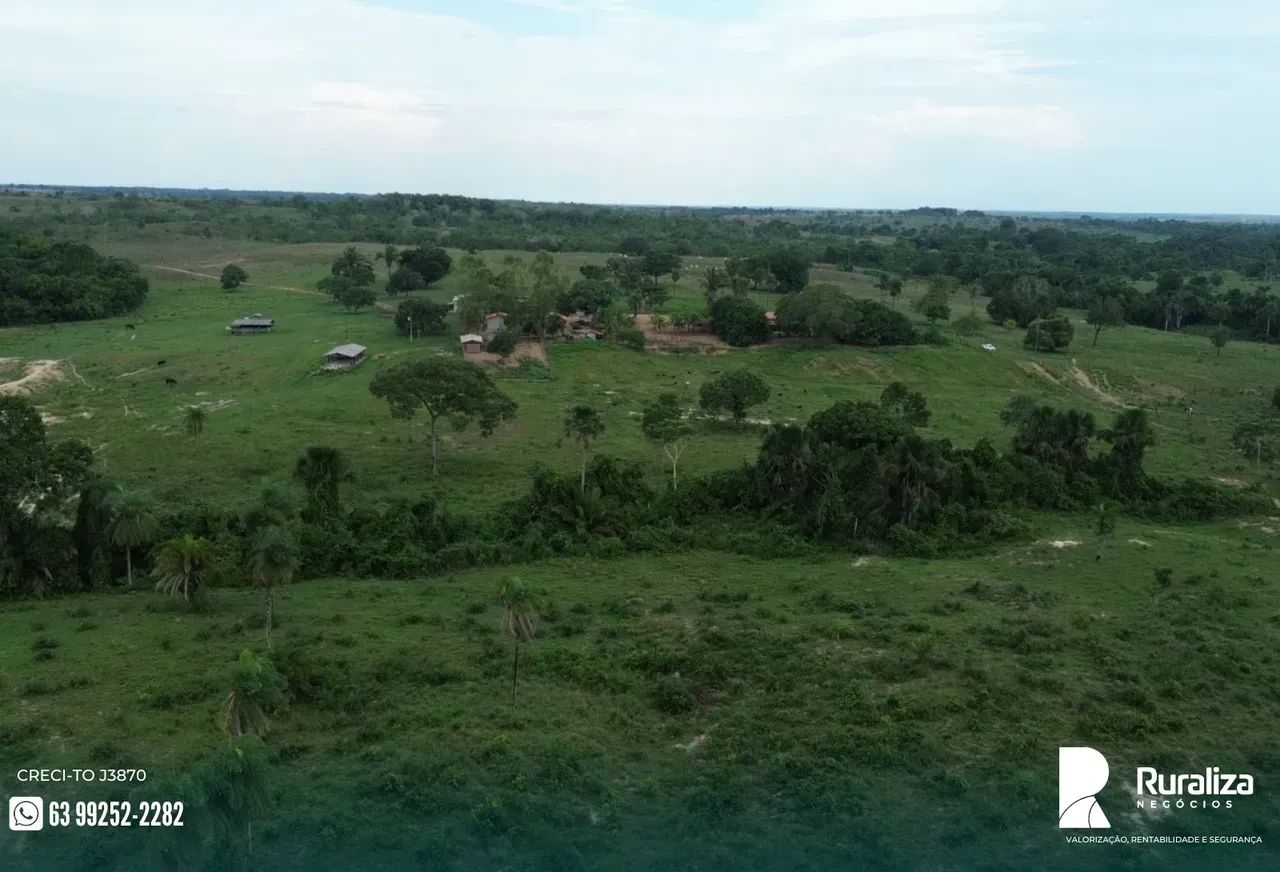 NASCENTES E CÓRREGOS PERENES | 61 ALQUEIRES | PECUÁRIA PRONTA - Foto 5