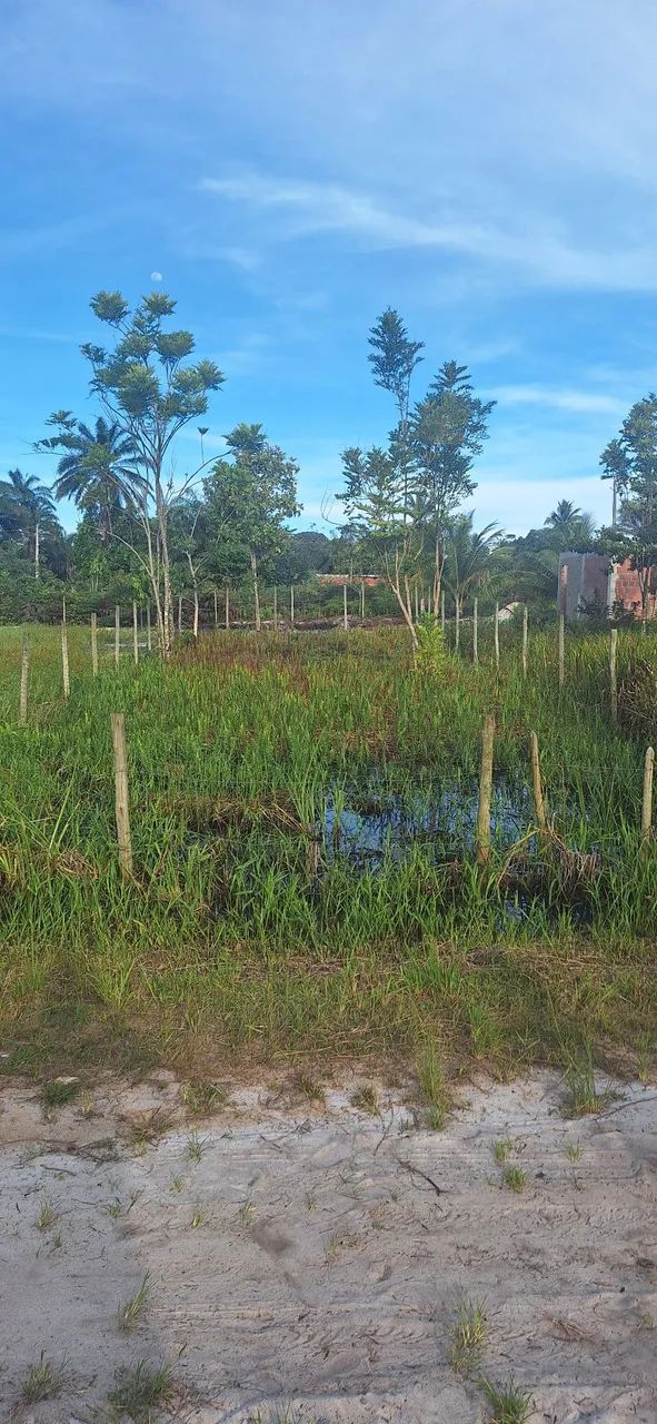 terreno ponta do ramo ( ilhéus - bahia ) - Foto 3