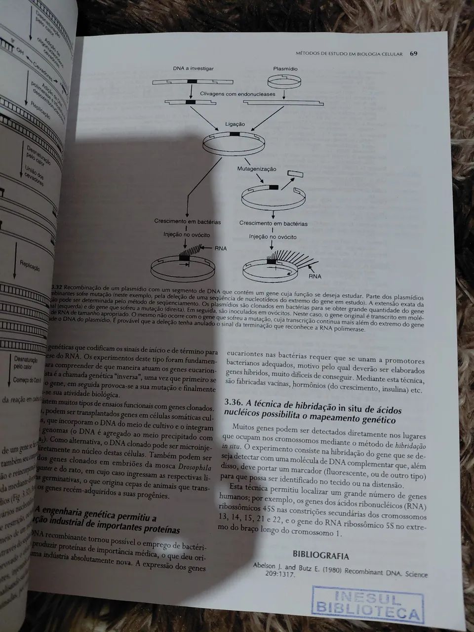 Livro de Biologia molecular e celular  - Foto 4