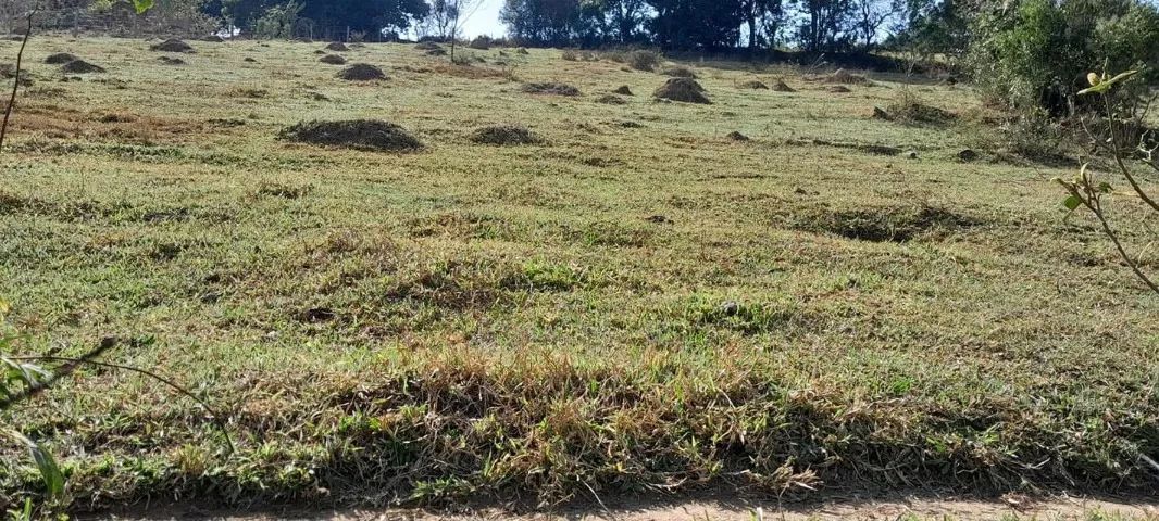 TERRENO PARA CHACARA - Foto 2