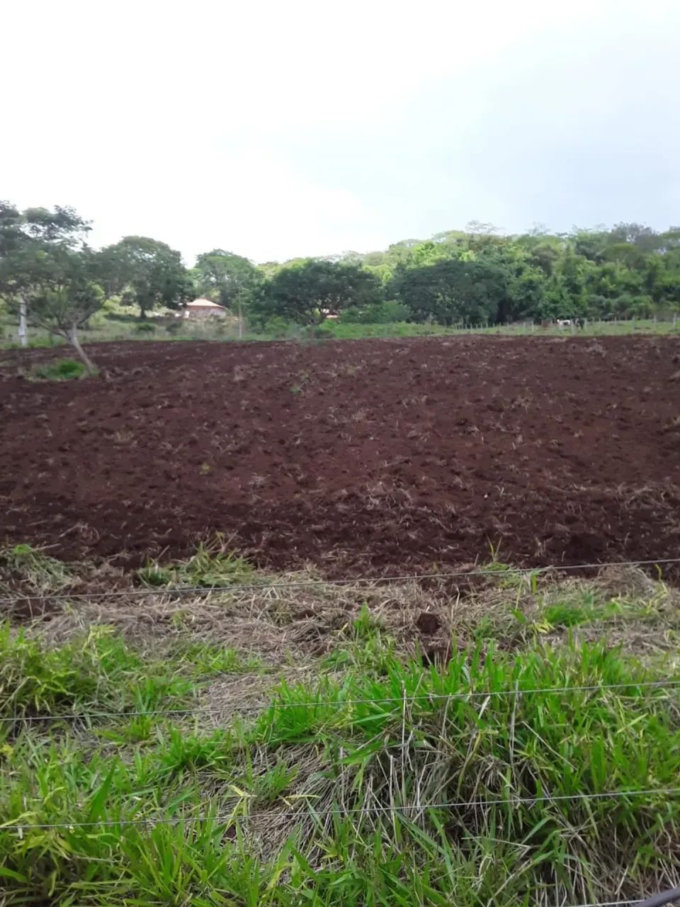 chácara Bela vista - Foto 2