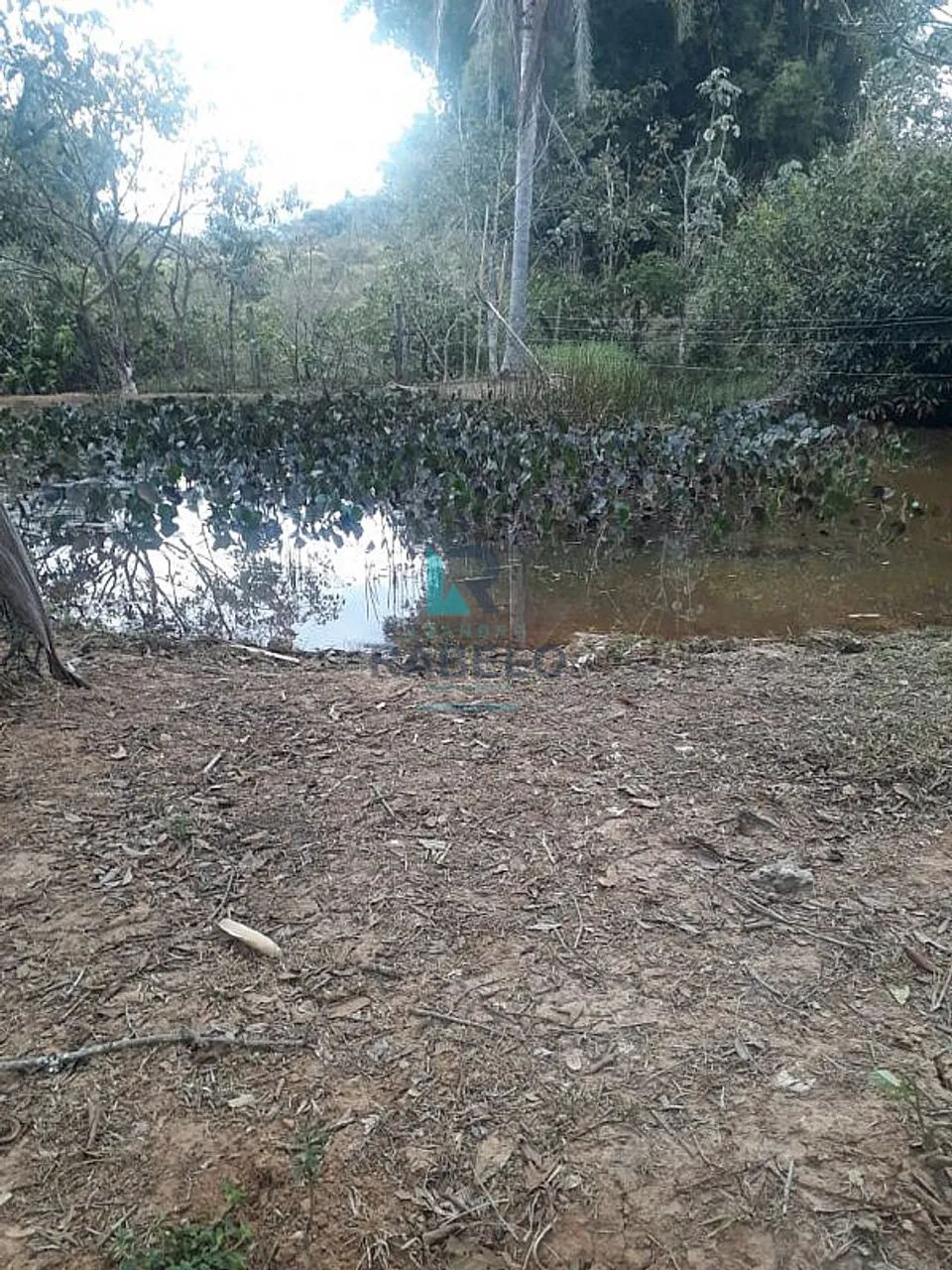 CHÁCARA COM CASAS E LAGOS Á VENDA EM GUARATINGUETÁ-SP - Foto 2