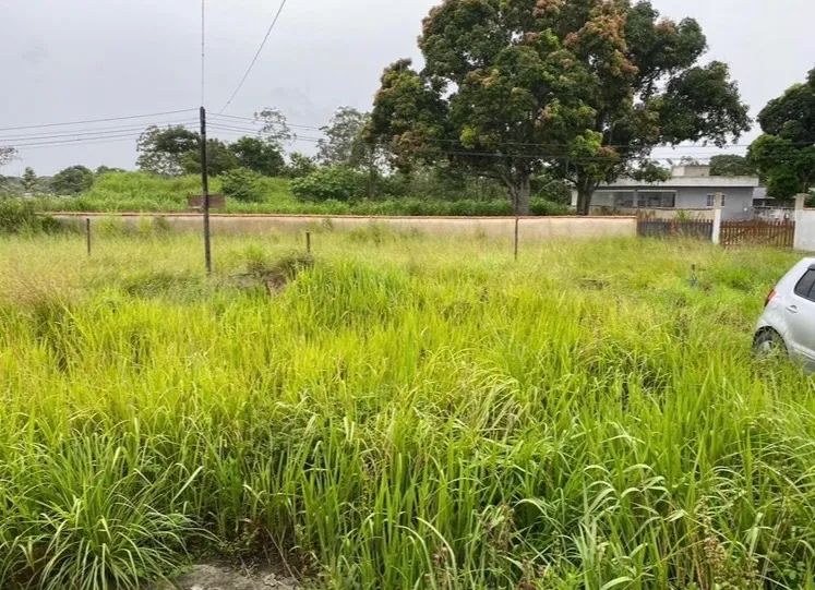 Foto - Saquarema - Bicuíba (Bacaxá)