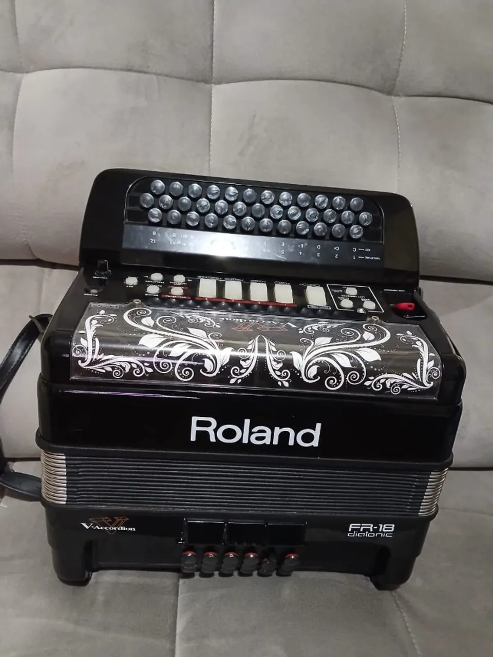 Acordeon Da Vinci MM Special Polifônica - Instrumentos musicais