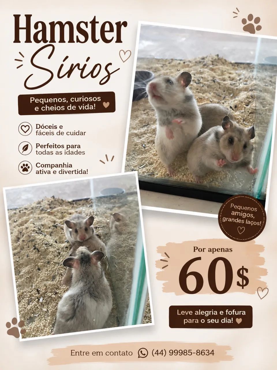 Hamster siríos