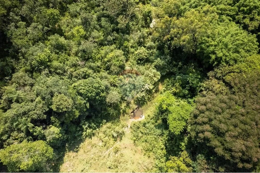 Propriedade Rural de 4,4 alqueires em Corumbataí - SP - Foto 4