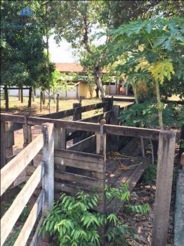 Sítio/Haras em Cuiabá com 50 baias para cavalos, 600 mts de rodovia - Foto 11
