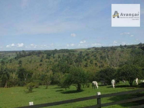 Fazenda à venda, Aldeia, Paudalho. - Foto 5