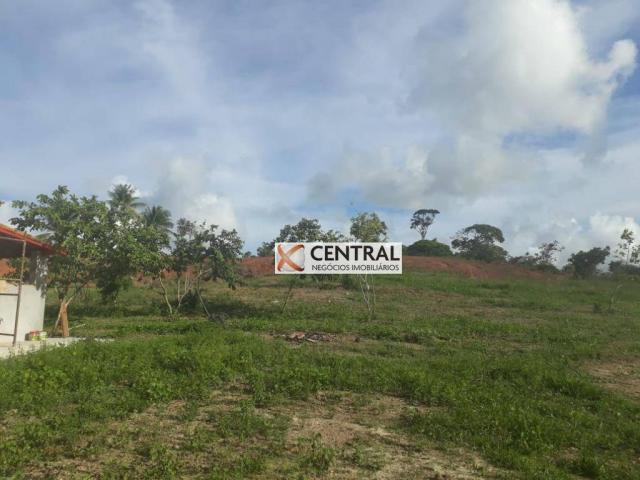 Fazenda à venda, 834268 m² por R$ 800.000,00 - Zona Rural - Mata de São João/BA - Foto 8