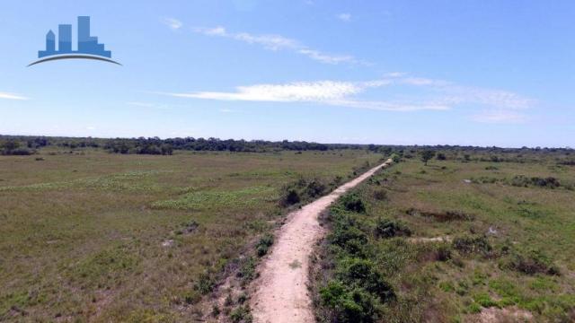 FAZENDA PARA GADO DE 14.950 HECTARES NA REGIÃO DE POCONÉ-MT - Foto 15