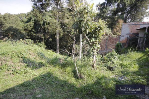 Terreno à venda, Braga, São José dos Pinhais. - Foto 4