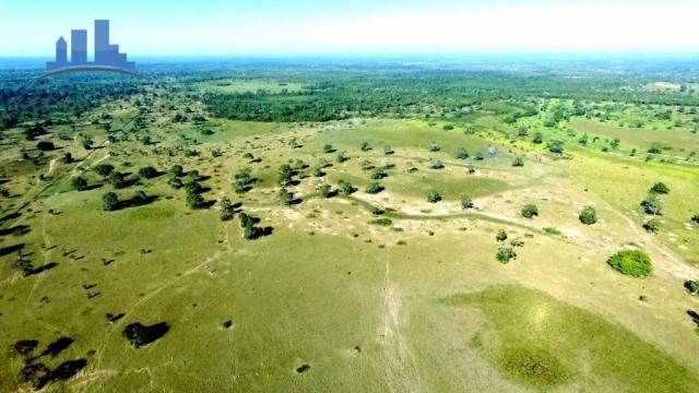 FAZENDA PARA GADO DE 14.950 HECTARES NA REGIÃO DE POCONÉ-MT - Foto 10