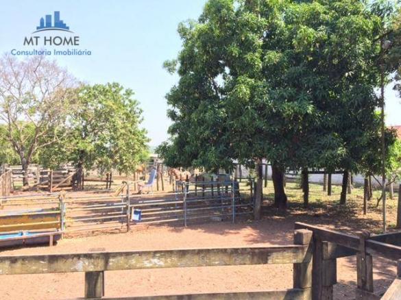 Sítio/Haras em Cuiabá com 50 baias para cavalos, 600 mts de rodovia - Foto 12