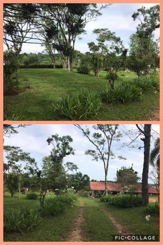 Chácara em Mandirituba - Foto 2