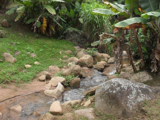 Sitio Teresópolis - Foto 4