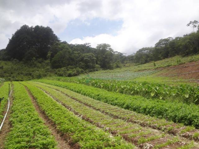 Sitio com 780.000 m² por R$ 1.150.000 - Ponte Nova - Teresópolis/RJ - Foto 16