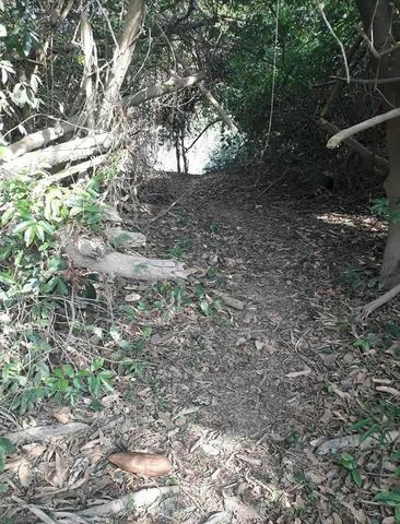 Terreno Beira de Rio Cuiabá - Foto 2