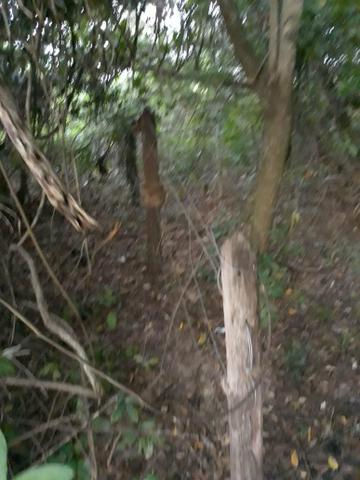 Vendo chácara na beira do rio ao lado do pesqueiro casa de telha - Foto 9