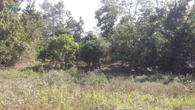 Chácara na Beira do Rio Manso - Foto 5