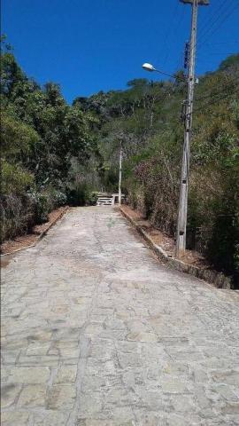 Terreno residencial à venda, Três Córregos, Teresópolis. - Foto 19
